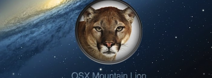 Операционная система X Mountain Lion на несколько Mac буков